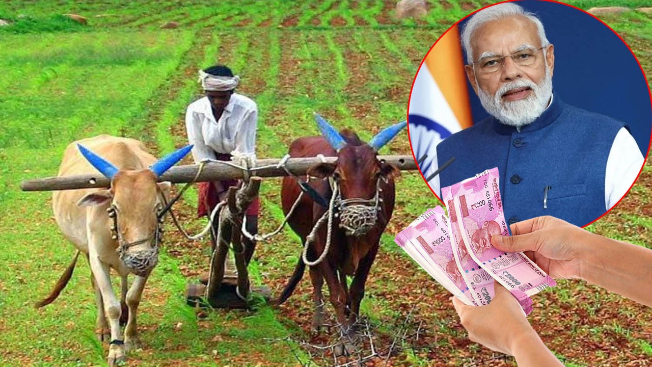 సగం మంది రైతులకు పీఎం కిసాన్ తొలగింపు సగం మంది రైతులకు పీఎం కిసాన్ తొలగింపు