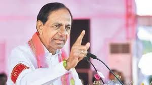 5 లక్షల మంది గులాబీ 5 లక్షల మంది గులాబీ