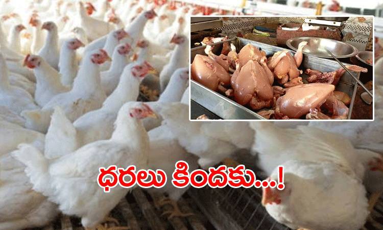 15 రూపాయిలకు పడిపోయిన చికెన్ 15 రూపాయిలకు పడిపోయిన చికెన్