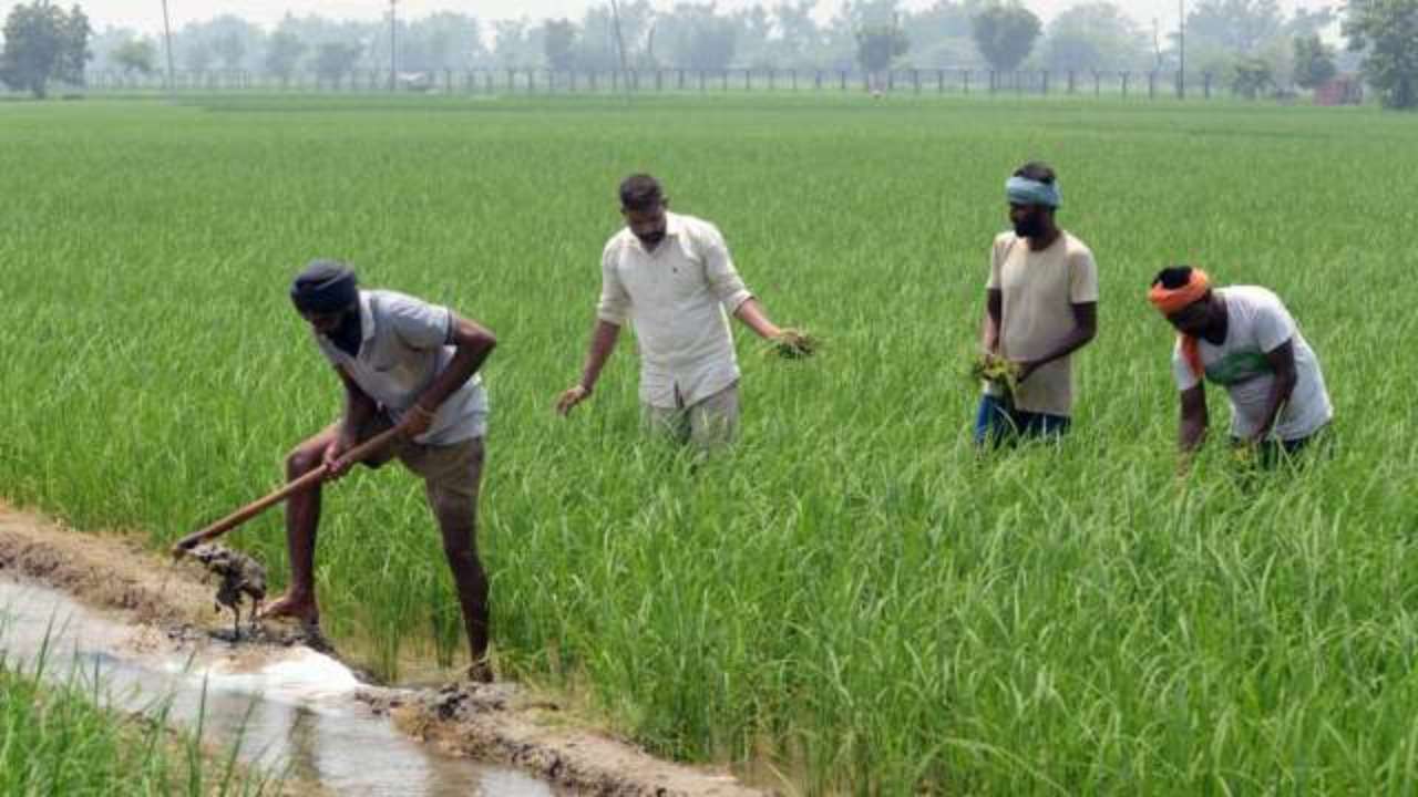 అర్హతలేని రైతుల నుండి పీఎం కిసాన్ స్కీమ్ నగదు వసూల్ అర్హతలేని రైతుల నుండి పీఎం కిసాన్ స్కీమ్ నగదు వసూల్