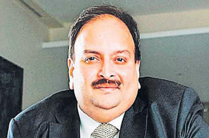 చొక్సీకి బెయిల్ చొక్సీకి బెయిల్