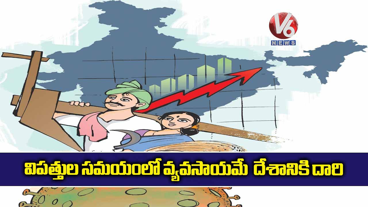 వ్యవసాయంతో అదనపు ఆదాయం వ్యవసాయంతో అదనపు ఆదాయం