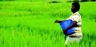 తక్కువ నీటి తో అధిక దిగుబడులు సాధించేందుకు డ్రిప్ సౌకర్యం ఎంతో ఉపయోగం తక్కువ నీటి తో అధిక దిగుబడులు సాధించేందుకు డ్రిప్ సౌకర్యం ఎంతో ఉపయోగం