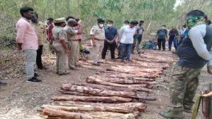 చిత్తూరు జిల్లాలో ఆగని ఎర్రచందనం అక్రమ రవాణా చిత్తూరు జిల్లాలో ఆగని ఎర్రచందనం అక్రమ రవాణా