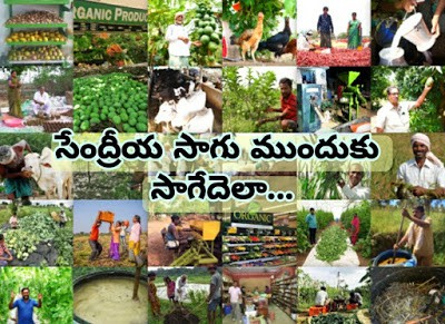 సాగు... సాగేదెలా సాగు... సాగేదెలా