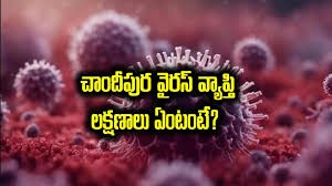 4 రాష్ట్రాల్లో వైరస్..... 4 రాష్ట్రాల్లో వైరస్.....