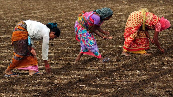 నుతన వ్యవసాయ సంస్కరణ సాగు చట్థాలను రద్దు చేయాలి ఏపీ వ్యవసాయ కార్మిక సంఘం డిమాండ్ నుతన వ్యవసాయ సంస్కరణ సాగు చట్థాలను రద్దు చేయాలి ఏపీ వ్యవసాయ కార్మిక సంఘం డిమాండ్