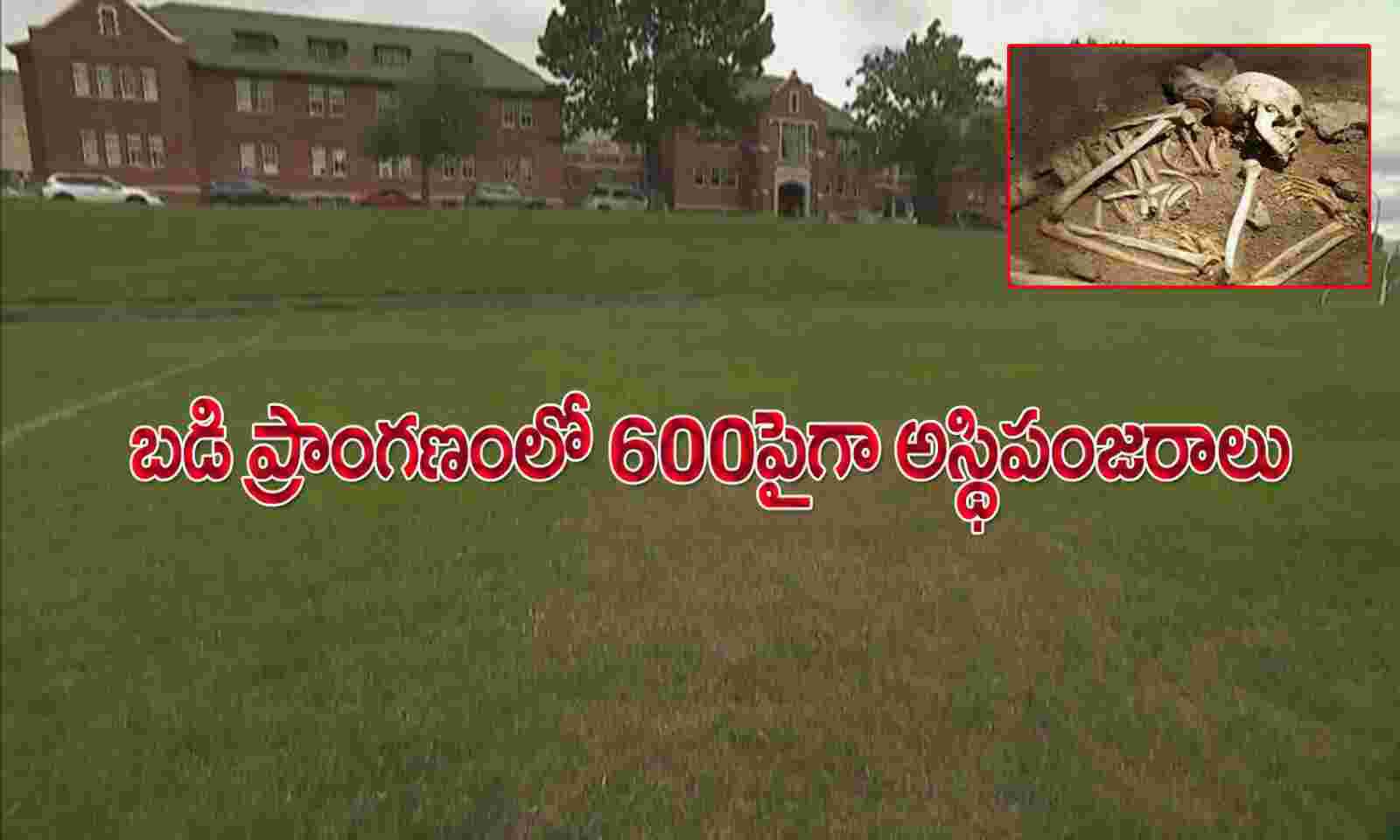 పాఠశాల ప్రాంగణంలో 600లకు పైగా గుర్తు తెలియని అస్థిపంజరాలు పాఠశాల ప్రాంగణంలో 600లకు పైగా గుర్తు తెలియని అస్థిపంజరాలు