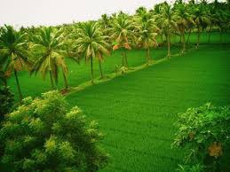 కొనసీమలో మరో కాలుష్య పరిశ్రమ కొనసీమలో మరో కాలుష్య పరిశ్రమ