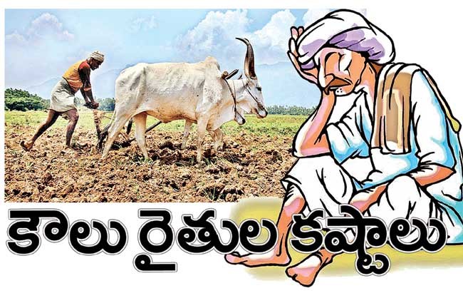 కష్టాల్లో కౌలు రైతులు కష్టాల్లో కౌలు రైతులు