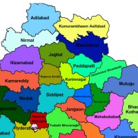 నవ తెలంగాణకు దశాబ్దం...