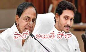 గులాబీ బాటలో జగన్ అన్న గులాబీ బాటలో జగన్ అన్న