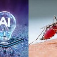  ఏఐతో దోమలకు చెక్...