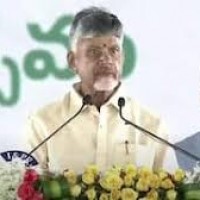 ఏడాది సంబురాల్లో కనిపించని కమలం