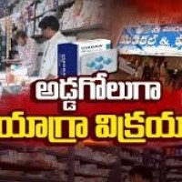 అడ్డగోలుగా వయాగ్రా...