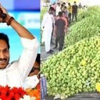 చిత్తూరు జిల్లాలో జగన్ పర్యటన
