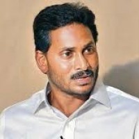 చిక్కని పట్టు