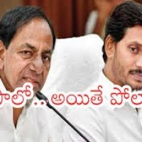 గులాబీ బాటలో జగన్ అన్న
