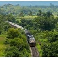 25 ఏళ్ల తర్వాత తీరనున్న కల