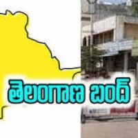 20న తెలంగాణ బంద్...