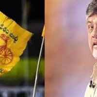 కర్నూలు జిల్లాల్లో టీడీపీ ఆగమాగం...