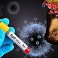కేరళలో నిఫా వైరస్