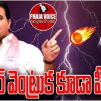 కేసీఆర్  వెంట్రుక కూడా పీకలేరు