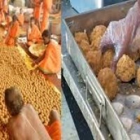 లడ్డూ కష్టాలకు ఫుల్ స్టాప్...