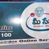 మీ సేవలో మరిన్ని సేవలు