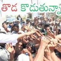 స్ట్రీట్ ఫైట్ కు సిద్ధమవుతున్నారా?