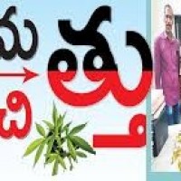 వికారాబాద్ జిల్లా కేంద్రంలో గంజాయి కలకలం