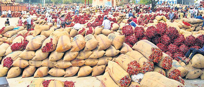 మార్కెట్ కు పోటెత్తున్న మిర్చి