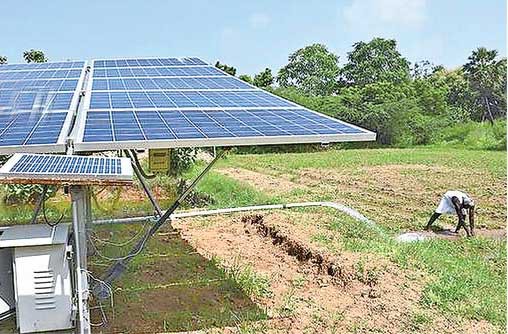 వ్యవసాయానికి సోలార్ వెలుగులు వ్యవసాయానికి సోలార్ వెలుగులు