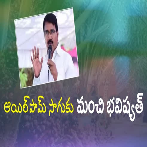 20 లక్షల ఎకరాల్లో ఆయిల్ పామ్ సాగు మంత్రి నిరంజన్ రెడ్డి