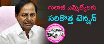 గులాబీలో సర్వేల కాక గులాబీలో సర్వేల కాక