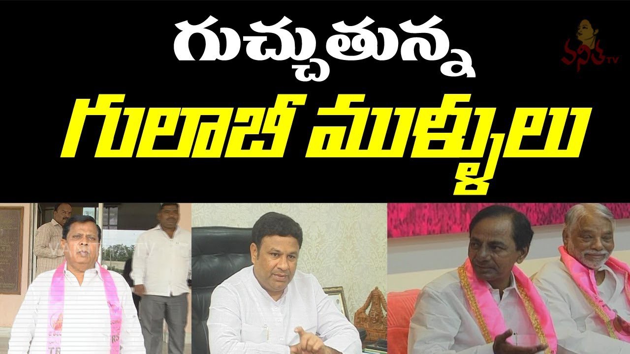 గులాబీలో ముళ్లు..... గులాబీలో ముళ్లు.....