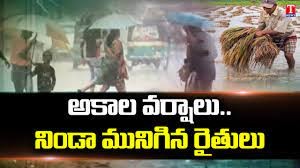 నట్టేటముంచిన అకాల వర్షం నట్టేటముంచిన అకాల వర్షం