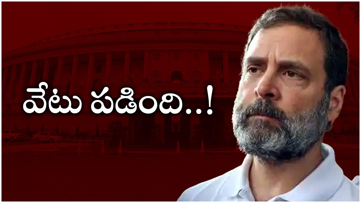 రాహుల్ గాంధీ పై అనర్హత వేటు రాహుల్ గాంధీ పై అనర్హత వేటు