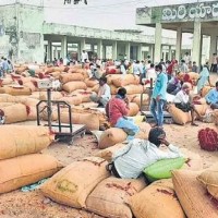 48 వేలు దాటిన ఎర్రబంగారం