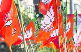 యాక్షన్ ప్లాన్ సిద్దం చేస్తున్న కమలదళం యాక్షన్ ప్లాన్ సిద్దం చేస్తున్న కమలదళం