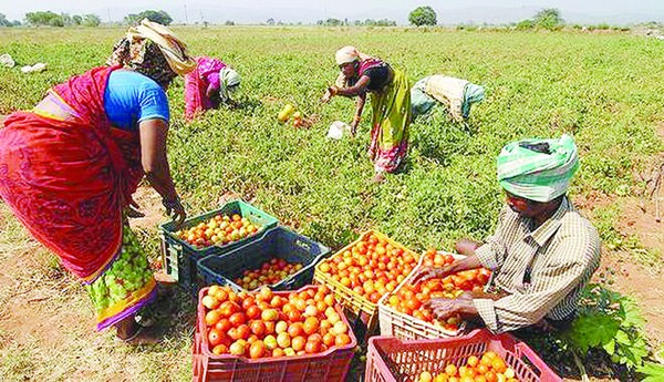 ఇక ఈ అమ్మకాలు