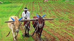 రోడ్డున పడుతున్న రైతులు రోడ్డున పడుతున్న రైతులు