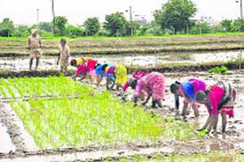 ముంచుకొస్తున్న ఖరీఫ్... ప్రణాళిక ఎక్కడా ముంచుకొస్తున్న ఖరీఫ్... ప్రణాళిక ఎక్కడా