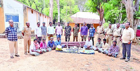 నాటు తుపాకులు, ఎర్రచందనం దుంగలు స్వాధీనం ఎనిమిది మంది అరెస్ట్ నాటు తుపాకులు, ఎర్రచందనం దుంగలు స్వాధీనం ఎనిమిది మంది అరెస్ట్