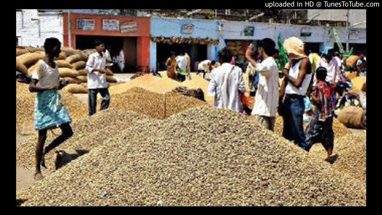 మార్కెట్లలోనే తక్కవకు వేరుసెనగ మార్కెట్లలోనే తక్కవకు వేరుసెనగ