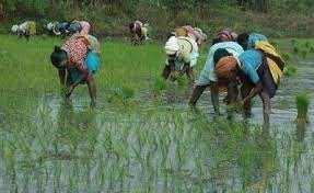 రైతు చల్లగా ఉంటేనే రాష్ట్రం సుభిక్షం రైతు చల్లగా ఉంటేనే రాష్ట్రం సుభిక్షం