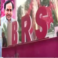 తగ్గిన గులాబీ దూకుడు