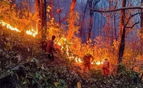 అడవుల్లో మంటలు..