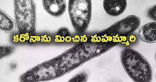 కరోనాకు మించి మహామ్మారి కరోనాకు మించి మహామ్మారి