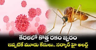 కేరళలో కొత్త జ్వరం.. ‘వెస్ట్ నైల్ కేరళలో కొత్త జ్వరం.. ‘వెస్ట్ నైల్